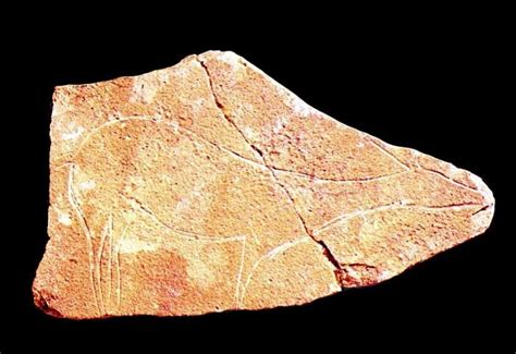 Tesela prehistórica del yacimiento de Parpalló