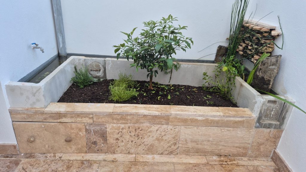 El pequeño jardin de la casa de huéspedes Bioalqueria